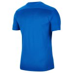 تی شرت ورزشی مردانه نایک Dri-FIT Park VII مدل BV6708-463 آبی