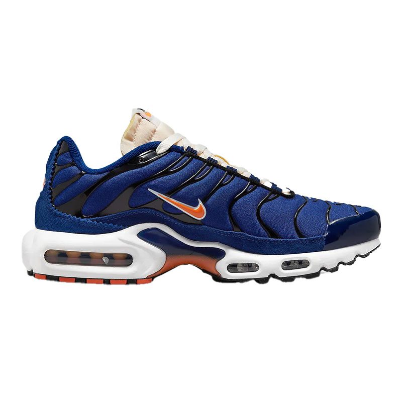 کفش مردانه نایک Air Max Plus SE 'Running Club' مدل DC9332-001 رنگ آبی سلطنتی