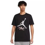 تیشرت مردانه نایک جردن مدل Essential Jumpman کد DQ7376-011 رنگ مشکی