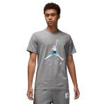 تیشرت مردانه جردن طوسی مدل DV8414-091 Jordan Essentials