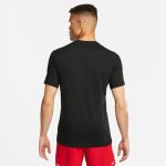 تیشرت دویدن مردانه نایکی Dri-FIT مشکی NIKE FJ2362-010